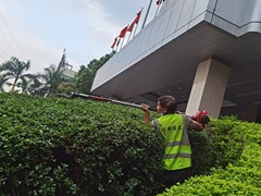 广东省园博景观绿化有限公司