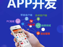 临沂系统开发公司