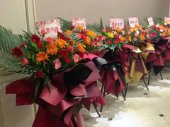 乌鲁木齐干花店