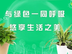 乌鲁木齐干花店