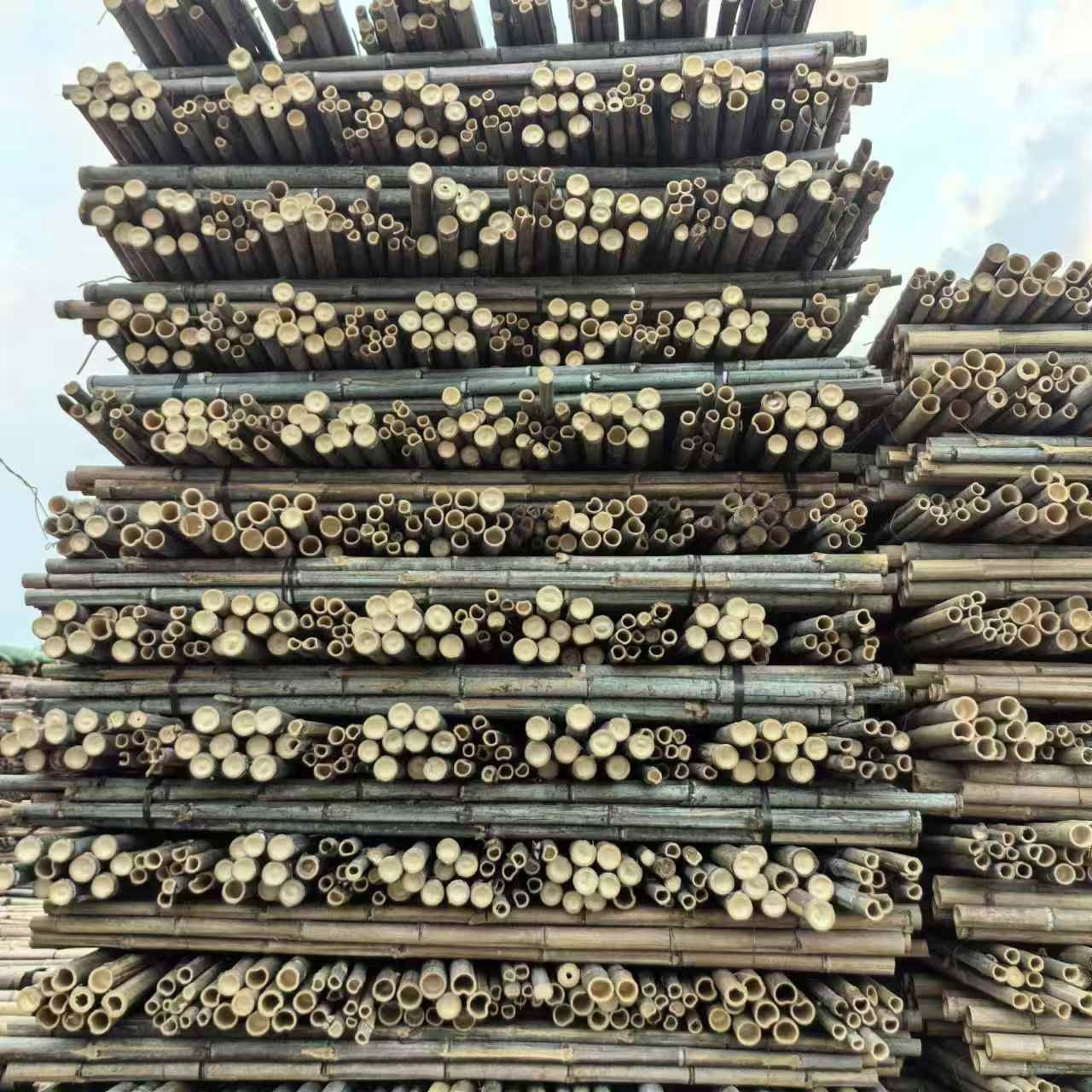 唐山騰福竹木有限公司