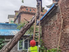 广东省园博景观绿化有限公司