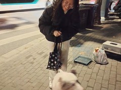 上海普陀区宠物小动物流浪猫狗救助领养收容收养中心基地站