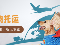 武汉宠物托运