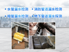 武汉聆听漏水检测有限公司