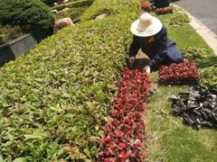 南通大理石养护