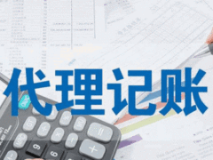 佛山市帐无忧企业服务有限公司