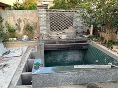 海口锦鲤领养