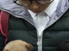 上海长宁区流浪猫狗宠物小动物收养收容救助领养中心基地站