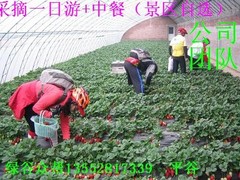 綠谷眾幫