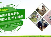 圖片8