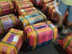 江西君鹏宠物托运公司