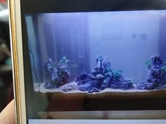 郑州观赏鱼批发销售