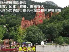 誠志天鴻