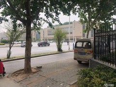 河南大果转租网1