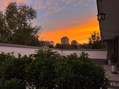 北京宠物火化
