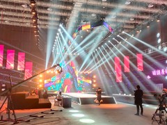 石家庄施华美文化传播有限公司