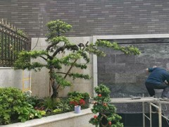 沈阳别墅庭院设计施工