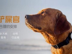 上海宠物火化