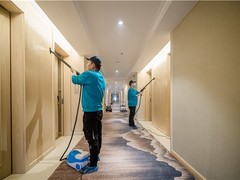 皇苹果除甲醛公司