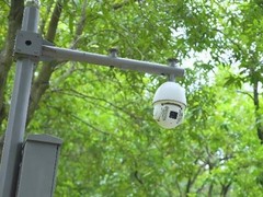 南京仲子路科技有限公司