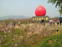 诚志天鸿