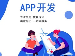 上海系统开发公司