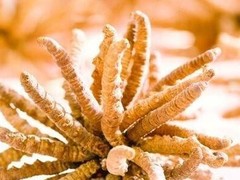 成都回收茅台酒