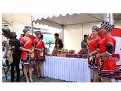 红帆会展