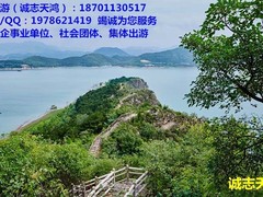 誠志天鴻