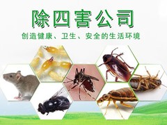 威海杀虫灭鼠公司
