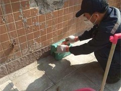 绵阳灭鼠公司