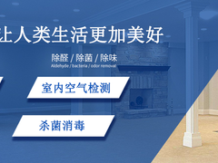 广州甲醛治理