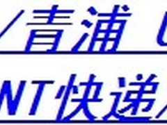 上海国际快递 上海专业国际包裹递送 
