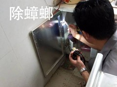绵阳灭鼠公司