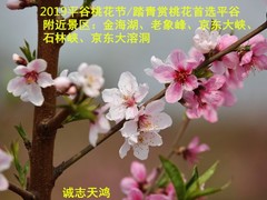 誠(chéng)志天鴻