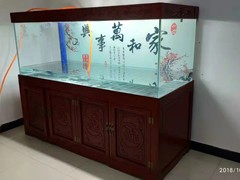 北京鱼缸清洗