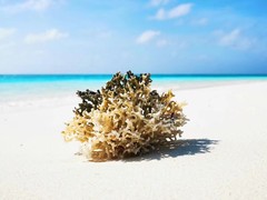大连郊区游