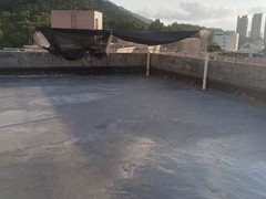 專業(yè)的防水補(bǔ)漏公司