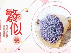 兰州鲜花盆栽出售