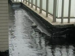 长春屋顶渗水