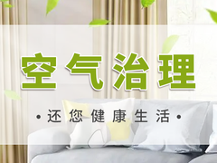 贵阳上门空气治理公司