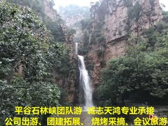 誠志天鴻