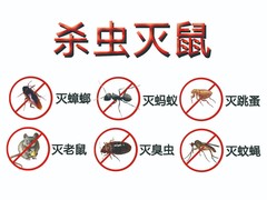 泉州杀虫灭鼠公司