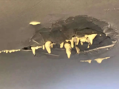 枣庄屋面漏水维修