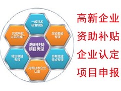 国家高新技术企业认定（广东）