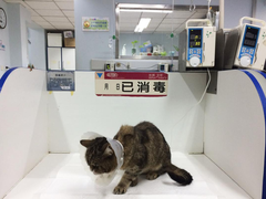 贵阳牧济堂动物医院有限公司