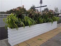 海口滨江鲜花绿植园圃