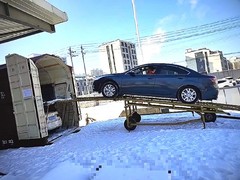 金百顺运车
