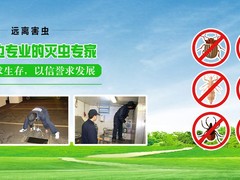 泉州杀虫灭鼠公司